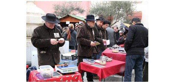 Truffle hunt